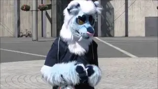 (Negatable) Frost