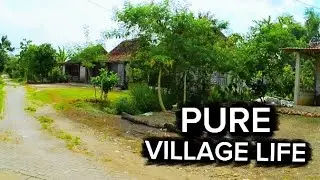 A Quiet Ride Through a Village Where Life Feels Simple | RAW Motorcycle POV