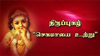 திருப்புகழ்-செகமாயை உற்று | Thiruppugazh- Segamayi