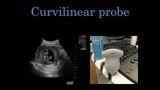 Basic POCUS Physics