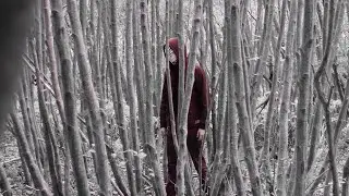 Abstract film (Horror film)