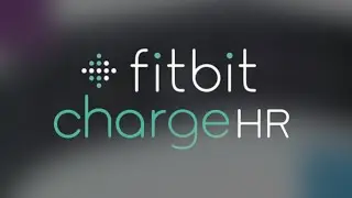 Связной. Спортивный браслет Fitbit Charge HR