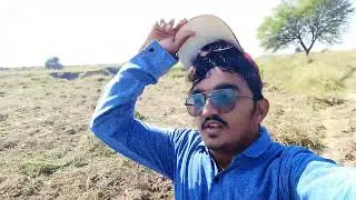Tour To Phalina Momphali ki fasal ka kaam With great personality Doctor Tayyab