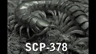 SCP-378 