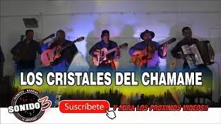 LOS CRISTALES DEL CHAMAME 2018 MEGA ENGANCHADOS EN VIVO