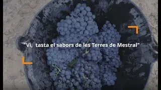 Vi, tasta els sabors de les #TerresdeMestral