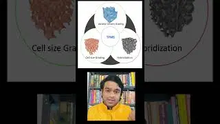 Lattice Structure II Triple Periodic Minimal Surface || TPMS