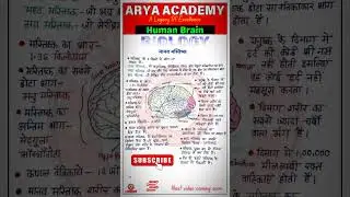 Human Brain - मानव मस्तिष्क | Structure of Brain | Brain Anatomy and physiology | Nervous System