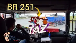 Posto Dangeles Montes Claros Br251 taz mania 