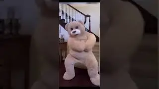 Giant teddy bear dancing