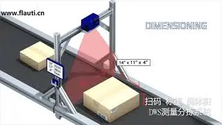 Parcels Sorting with DWS(Dimension Weighing Scanning)System from Logistics(E-commerce/Post/Express)