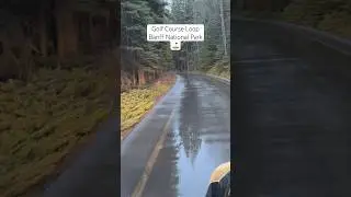 Cruising the Golf Course Loop / Banff National Park #shortvideo #banff #travel