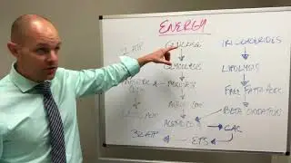 FatForFuel.mov