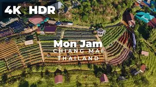 Mon Jam Chiang Mai | Serene Drone Footage of Misty Mountains and Blooming Gardens - 4K HDR