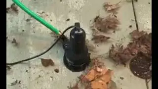Wayne Thermoplastic Submersible Utility Pump - 1 1/4in. Port, 2500 GPH, 1/2 HP, Model# VIP50