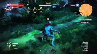 Finally killed the Grave Hag!  lol