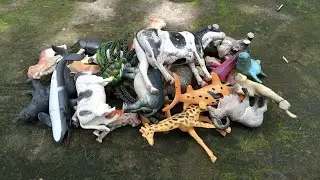 Fun Unboxing and Review Wild Animal Toys Figure Collection Cow Shark Zebra Tiger Goat Dog Wolf