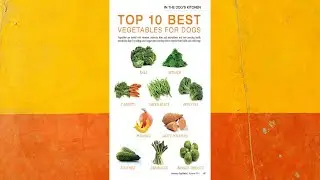What Vegetables Can Dogs Eat?🐶 Top10 best vegetables for dogs #DogFoodFirst
