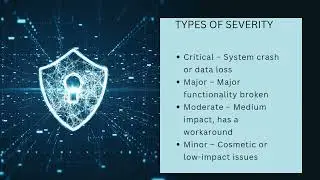 11] Severity and Priority