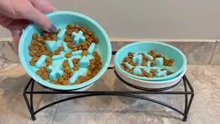Slow Feeder Bowls Review 🐱🍽️ | Honeyguaridan Bowls for Automatic Feeders