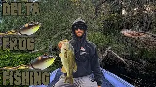 California Delta Frog Fishing | Exploring New Back Waters For Aggressive Post Spawn Bass