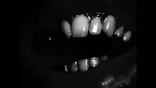 My Organs - Mulp (official video)