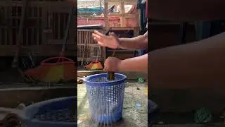Olah nafas dulu yuk! #olahnafas #atraksi #botolpecah