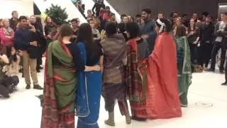 Hochschule Hof - Diwali 2014 - Sari Challenge