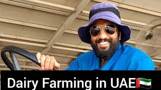 A random day in Farmer's life | old memories
