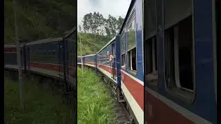 &ldquo;The Blue Train&rdquo; Kandy to Ella 🇱🇰 #srilanka #travel #trending
