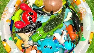 Powerful Sharks of the Sea |  Strongest ocean Animals fun Facts for Kids