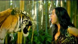 Katy Perry- Roar (Radio Version)