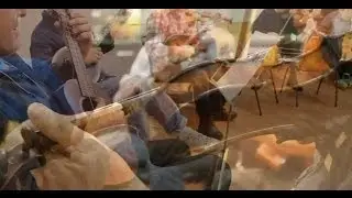 Newport Bush Orchestra - Railway Hotel, Moonan Flat, White Cockatoo&rlm;