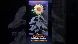 Smd Screen Repair