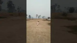 Amazing skills player #cricket #greatcricketer #cricketmatchhighlights
