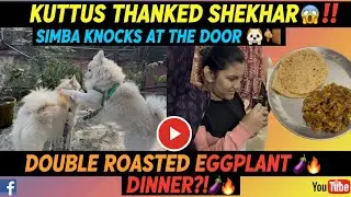 KUTTUS THANKED SHEKHAR 😱 | SIMBA KNOCKS AT THE DOOR 🐶🚪 | DOUBLE ROASTED EGGPLANT DINNER?! 🍆🔥#vlog 