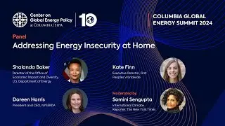Panel | Addressing Energy Insecurity at Home