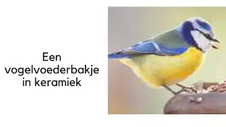 Een vogelvoederbakje in keramiek