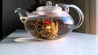 blooming tea (full process video)