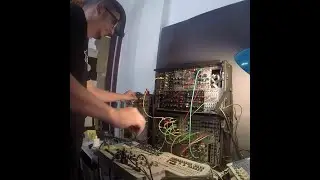 Vikkei - Sherman tonic live (2022)