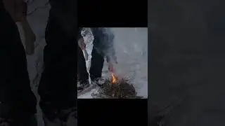 Winter  Jungle Survival &ndash; Alone in Extreme Cold
