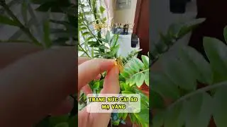 TRANG SỨC C&Agrave;I &Aacute;O CAO CẤP MẠ V&Agrave;NG 24K #mavang #trangsuccaocap #logo