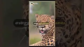 I will take correct decision 😎😎| Tamil motivation | #shorts #shortsvideo #tamil #motivationalquotes