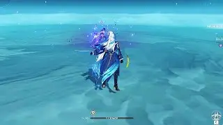 1HP BEIDOU & NEUVILLETTE VS RAIDEN SHOGUN (NO DAMAGE)
