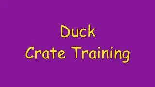 Duck Crate Training