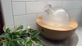 aria diffuser