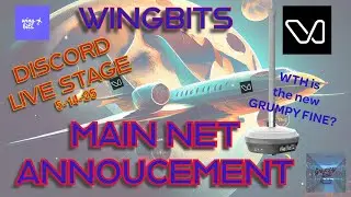 WINGBITS STAGE  Recap | Mainnet Announcement? | Potential Customers in Test Phase | The GRUMPY Fine!