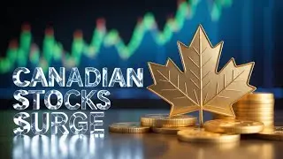 best  canadian stocks to buy now for log term 