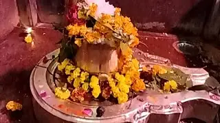 Angel blessing tarot card reading live