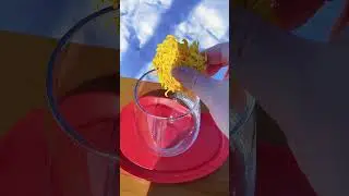 Chrysanthemum tea in the park. snow day. Simple Day Moments